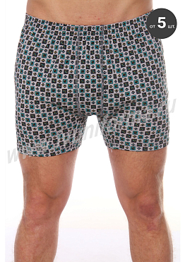 Трусы мужские арт. ТР-19-08-ТР